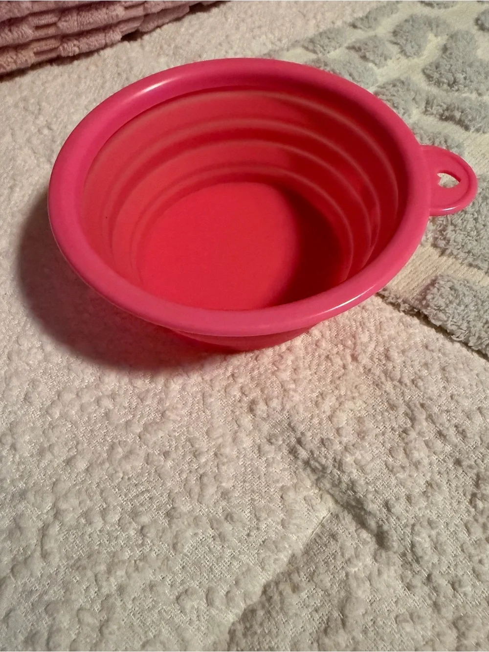 Collapsible Silicone Pet Bowl - Bright Pink